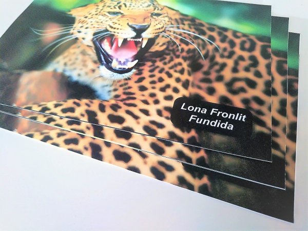 Lona Frontlit Fundida | thePrinter Impresión online