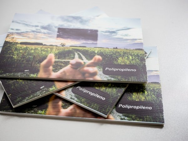 Polipropileno Celular | thePrinter Impresión online
